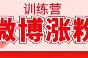 写书哥·微博涨粉训练营，价值798元【无水印】