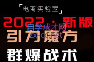 电商冰可乐·2022《引力魔方-群爆战术》，价值2080元