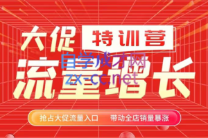 阿呆电商·大促流量增长特训营（第一期），价值2980元