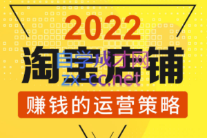 震宇老师·2022年淘宝店铺赚钱的运营策略