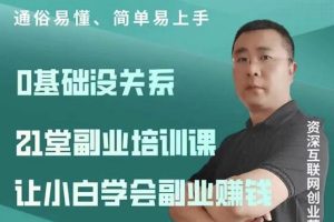 张磊·21堂副业培训课，让小白学会副业赚钱