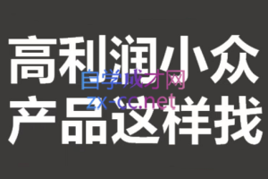 进击的恐龙电商·淘宝小众蓝海-选品方法论，价值599元