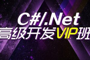 .NET高级开发VIP班(代码+文档)