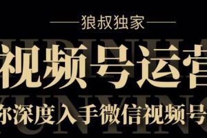 狼叔·视频号8.0运营实战课【无水印】