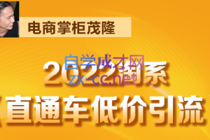 电商掌柜杨茂隆·2022直通车低价引流玩法课程，价值1998元