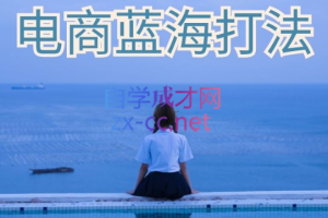 无招电商·电商蓝海打法（小白搞钱私密课），价值6688元