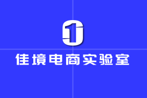 佳境电商·网红同款截流精细化运营课，价值9800元