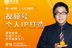 廖桔·视频号个人IP打造【无水印】