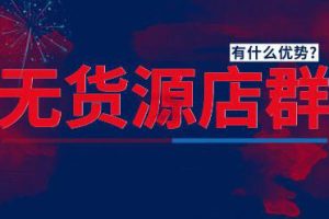 网淘那些事·2021无货源店群VIP教程