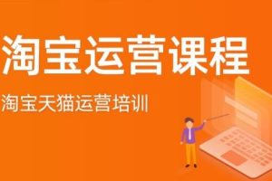 淘宝店铺VIP教程，初级+高级+运营，价值千元