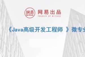 微专业·Java高级开发工程师 玩转Java高并发分布式架构核心技术