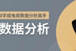 2020年助你从0开始学成电商数据分析高手(课件打包)