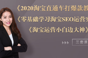 2020淘宝直通车打爆款+零基础学习淘宝SEO+淘宝运营小白变大神