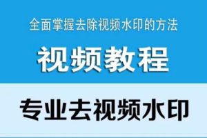 专业去视频水印 快速入门课程