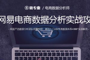 网易云课堂：电商数据分析师微专业