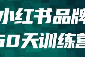 传灯计划·小红书品牌60天训练营第6期