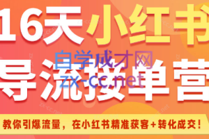 16天小红书导流接单营（6月25日-7月10日）