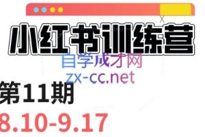 花生的书桌·小红书训练营第11期