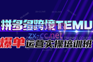 方杞伟·拼多多跨境TEMU爆单运营实操培训班