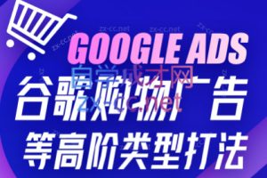 lce·GoogleAds谷歌购物广告等高阶类型打法