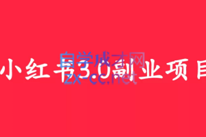 野路子实验室·小红书3.0副业项目，价值1590元