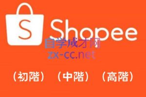 Shopee爆单训练营，实战大卖带你真实店铺实操，价值3999元