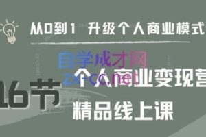 大表姐·个人商业变现营精品线上课