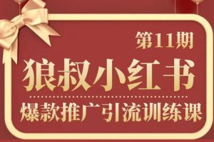 狼叔小红书爆款引流第11期，价值1280元【无水印】