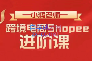 小鸿老师·跨境电商Shopee【基础+进阶】，价值2599元