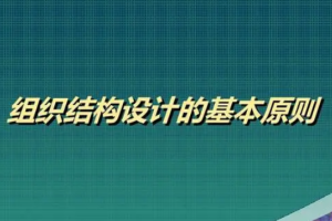 设计组织结构的基本原则