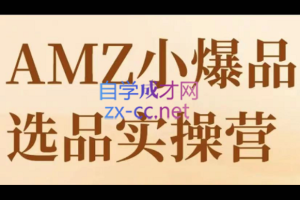 跨境颜叫兽·亚马逊小爆品实操营，价值7998元