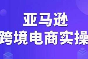 亚马逊跨境电商vip课程，价值3980元