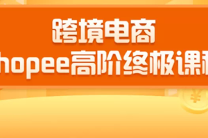 千鸟跨境：跨境电商蓝海新机会-shopee终极课程(价值3900)