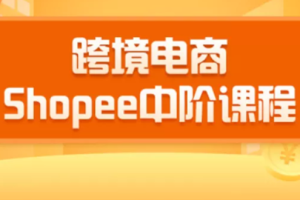 千鸟跨境：跨境电商蓝海新机会-shopee中阶课程(价值3900)