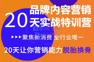 《内容营销实操特训营》20天让你营销能力脱胎换骨