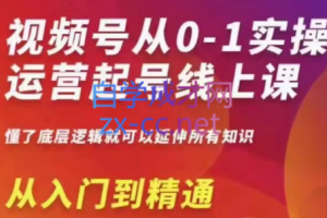 陈大黑牛·视频号从0-1实操运营【更新23】