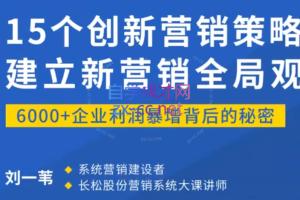 《15个创新营销策略：建立新营销全局观》（15讲）