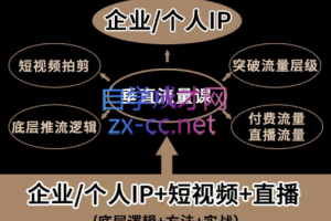 张越·自然流三频共振起号（短视频+直播），价值2980元