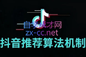 楚风老师·2022年新算法从0到10的破局实战课