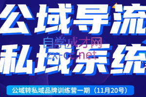 金圈圈·公域转私域品牌训练营一期，价值5800元