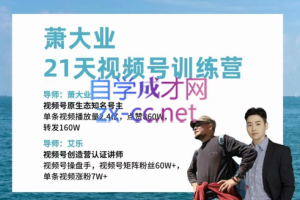 萧大业·21天视频号训练营（第12期），价值1999元