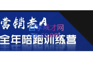 营销老A全年陪跑训练营，价值2580元