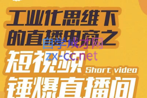 尼克派·工业化思维下的直播电商，价值6980元