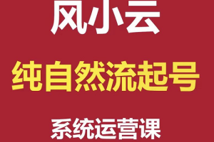 风小云·纯自然流起号系统运营课，价值4980元