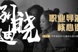 孙晓迪·职业导演核心课，价值6299元