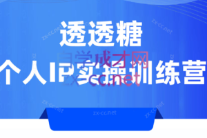 透透糖个人IP实操训练营（2023）