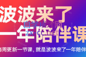 波波来了一年陪伴课（更新2023年8月）