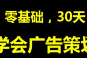 脑群广告策划人·零基础，30天，学会广告策划，价值599元