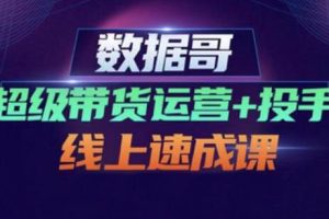 数据哥·超级带货运营+投手线上速成课，价值4980元