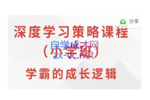 深度学习策略课程·小学班